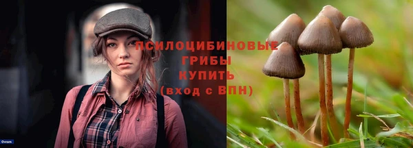 соль курить ск Арсеньев