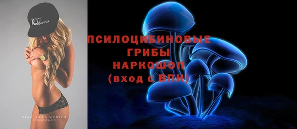 соль ск Аркадак